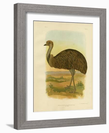 Emu, 1891-Gracius Broinowski-Framed Giclee Print