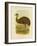 Emu, 1891-Gracius Broinowski-Framed Giclee Print