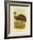 Emu, 1891-Gracius Broinowski-Framed Giclee Print