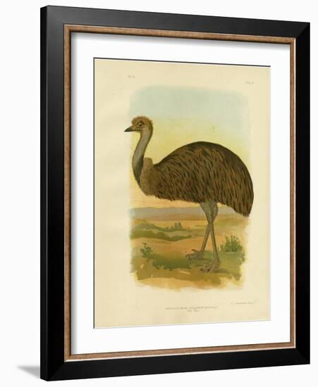 Emu, 1891-Gracius Broinowski-Framed Giclee Print