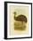 Emu, 1891-Gracius Broinowski-Framed Giclee Print