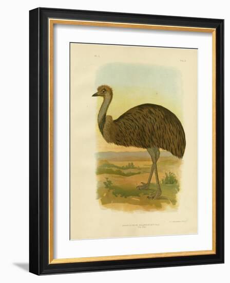 Emu, 1891-Gracius Broinowski-Framed Giclee Print