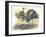 Emu Dromaius Novaehollandiae at Nest with Eggs-null-Framed Giclee Print