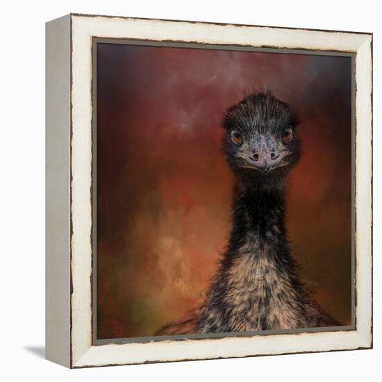 Emu Stare-Jai Johnson-Framed Premier Image Canvas