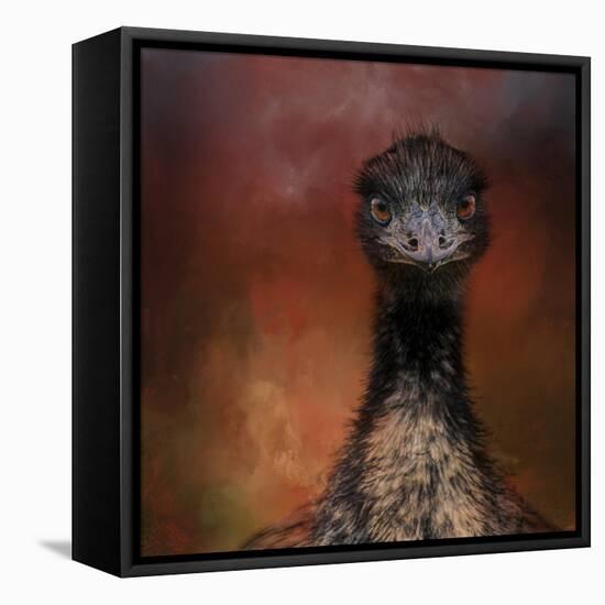 Emu Stare-Jai Johnson-Framed Premier Image Canvas