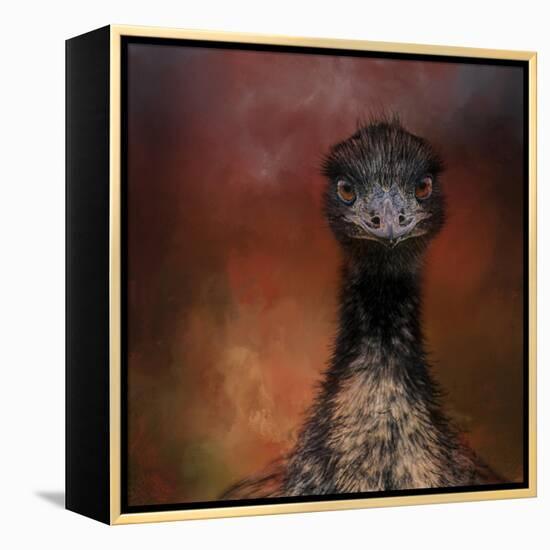 Emu Stare-Jai Johnson-Framed Premier Image Canvas