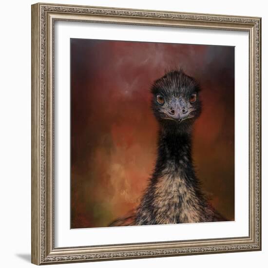 Emu Stare-Jai Johnson-Framed Giclee Print