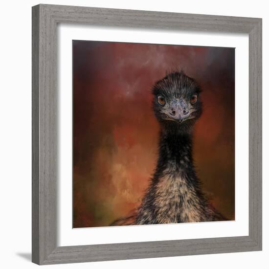 Emu Stare-Jai Johnson-Framed Giclee Print