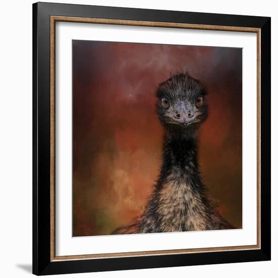 Emu Stare-Jai Johnson-Framed Giclee Print