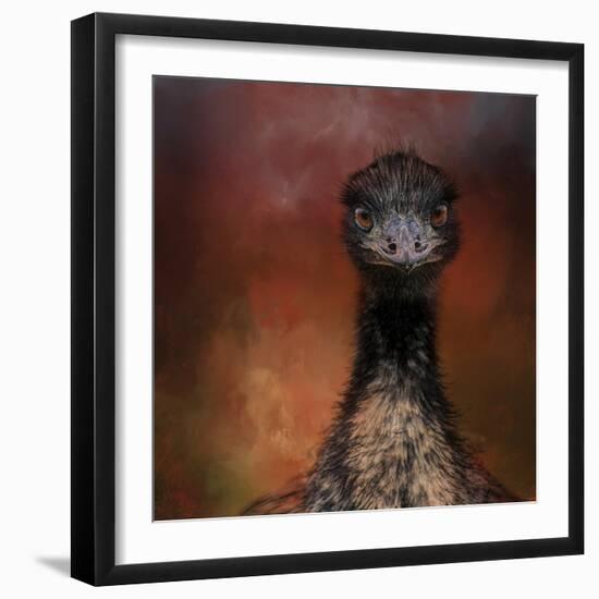 Emu Stare-Jai Johnson-Framed Giclee Print