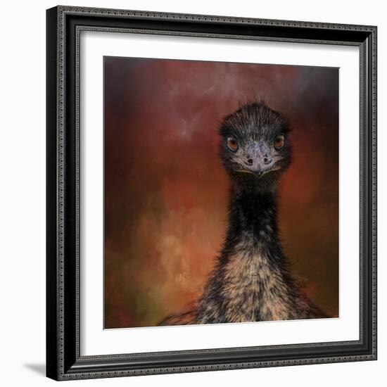 Emu Stare-Jai Johnson-Framed Giclee Print