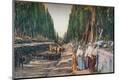 Premium Giclee Print