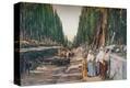 Stretched Canvas Print