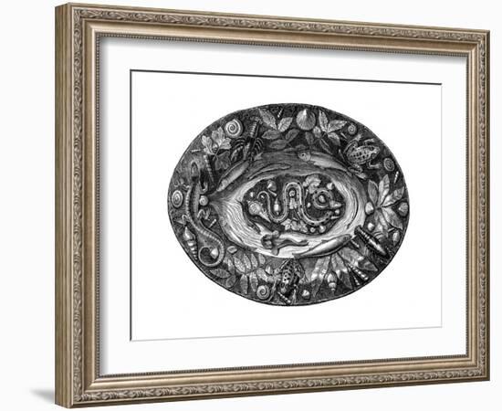 Enamelled Dish by Bernard Palissy, 16th Century-Bernard Palissy-Framed Giclee Print