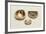 Enamelled Gold Tobacco and Smelling Salts Boxes-null-Framed Giclee Print