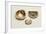 Enamelled Gold Tobacco and Smelling Salts Boxes-null-Framed Giclee Print
