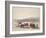 Encampment of the Alloeen in Wady Araba-David Roberts-Framed Giclee Print