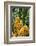 Encephelartos, Breadtree-Catharina Lux-Framed Photographic Print