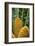 Encephelartos, Breadtree-Catharina Lux-Framed Photographic Print