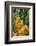 Encephelartos, Breadtree-Catharina Lux-Framed Photographic Print