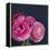 Enchanted Blooms-Susannah Tucker-Framed Stretched Canvas