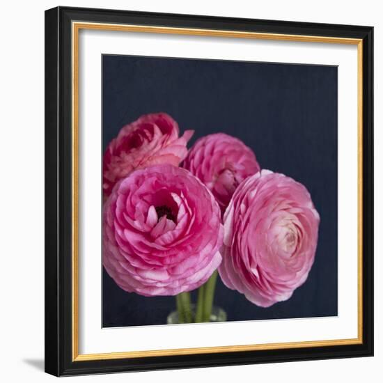 Enchanted Blooms-Susannah Tucker-Framed Art Print