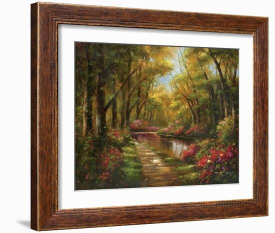 Enchanted Creek I-Wesley-Framed Art Print