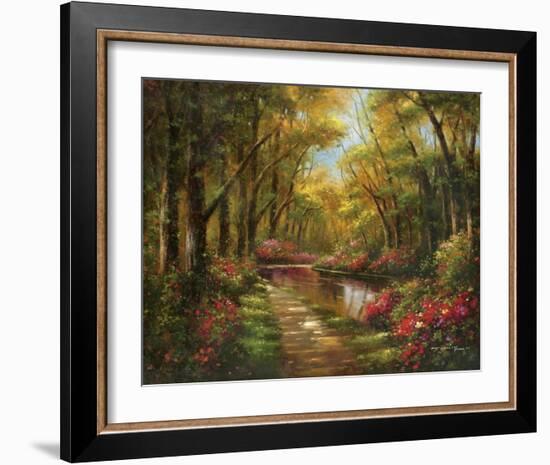 Enchanted Creek I-Wesley-Framed Art Print