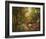 Enchanted Creek I-Wesley-Framed Art Print