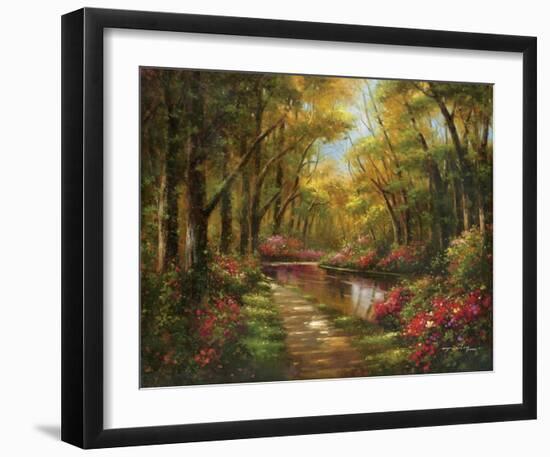 Enchanted Creek I-Wesley-Framed Art Print