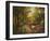 Enchanted Creek I-Wesley-Framed Art Print