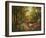 Enchanted Creek I-Wesley-Framed Art Print