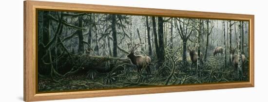 Enchanted Forest-Jeff Tift-Framed Premier Image Canvas