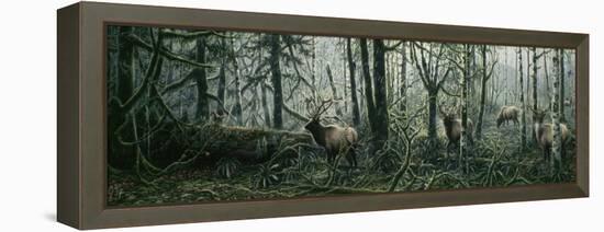 Enchanted Forest-Jeff Tift-Framed Premier Image Canvas