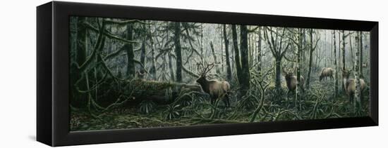 Enchanted Forest-Jeff Tift-Framed Premier Image Canvas