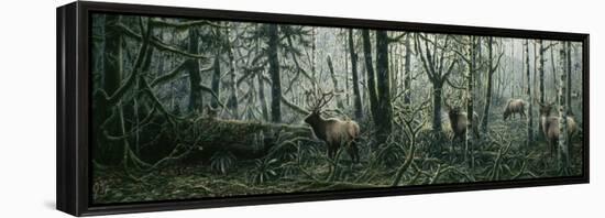 Enchanted Forest-Jeff Tift-Framed Premier Image Canvas