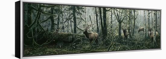 Enchanted Forest-Jeff Tift-Framed Premier Image Canvas