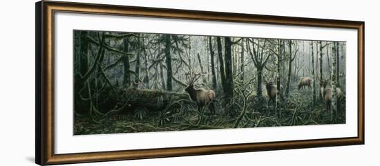 Enchanted Forest-Jeff Tift-Framed Giclee Print