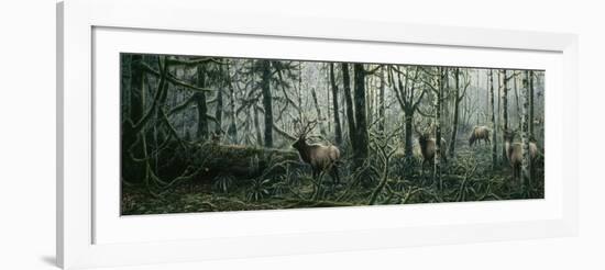 Enchanted Forest-Jeff Tift-Framed Giclee Print