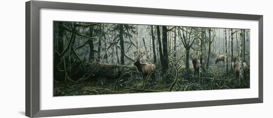 Enchanted Forest-Jeff Tift-Framed Giclee Print