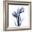 Enchanted Indigo Tulips-Albert Koetsier-Framed Art Print