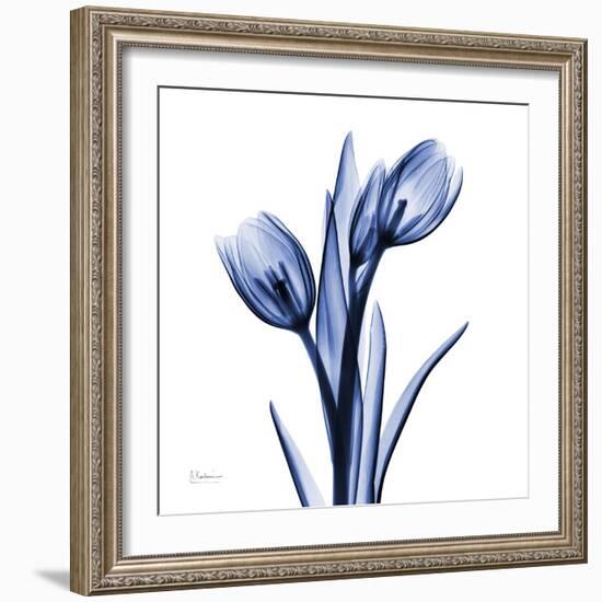 Enchanted Indigo Tulips-Albert Koetsier-Framed Art Print