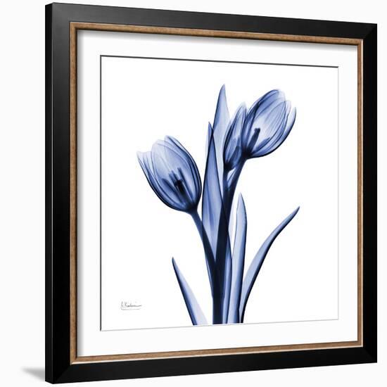 Enchanted Indigo Tulips-Albert Koetsier-Framed Art Print