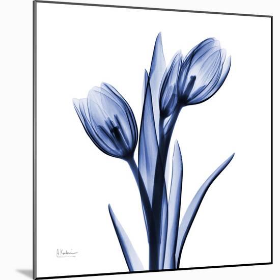 Enchanted Indigo Tulips-Albert Koetsier-Mounted Art Print