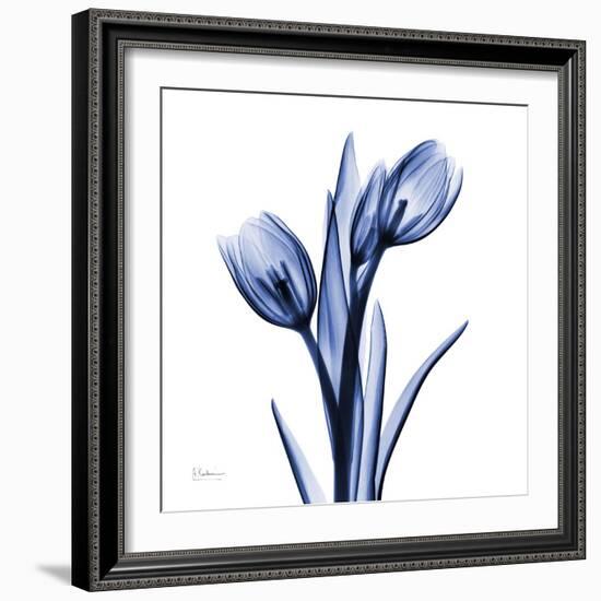 Enchanted Indigo Tulips-Albert Koetsier-Framed Art Print