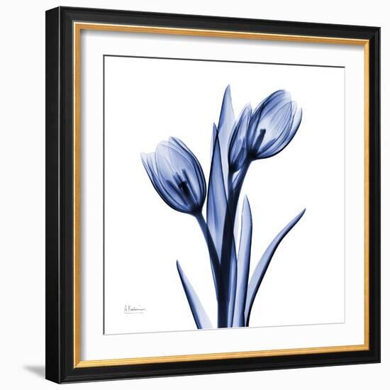 Enchanted Indigo Tulips-Albert Koetsier-Framed Art Print