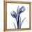 Enchanted Indigo Tulips-Albert Koetsier-Framed Stretched Canvas