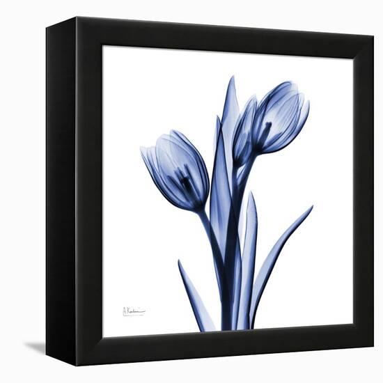 Enchanted Indigo Tulips-Albert Koetsier-Framed Stretched Canvas