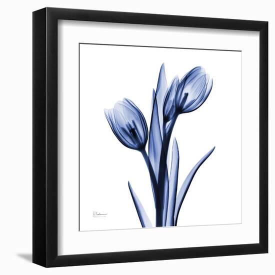 Enchanted Indigo Tulips-Albert Koetsier-Framed Art Print