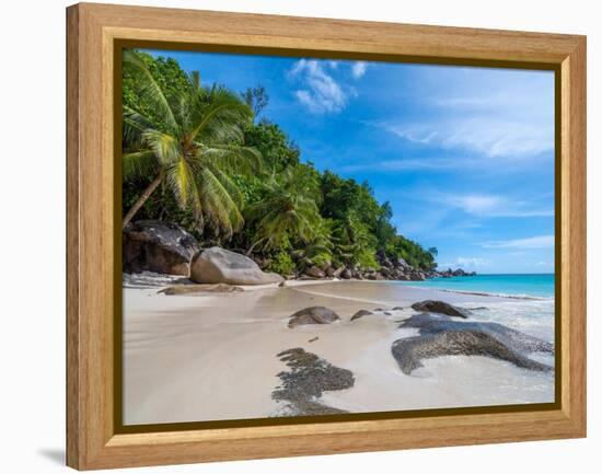 Enchanted island-Marco Carmassi-Framed Premier Image Canvas